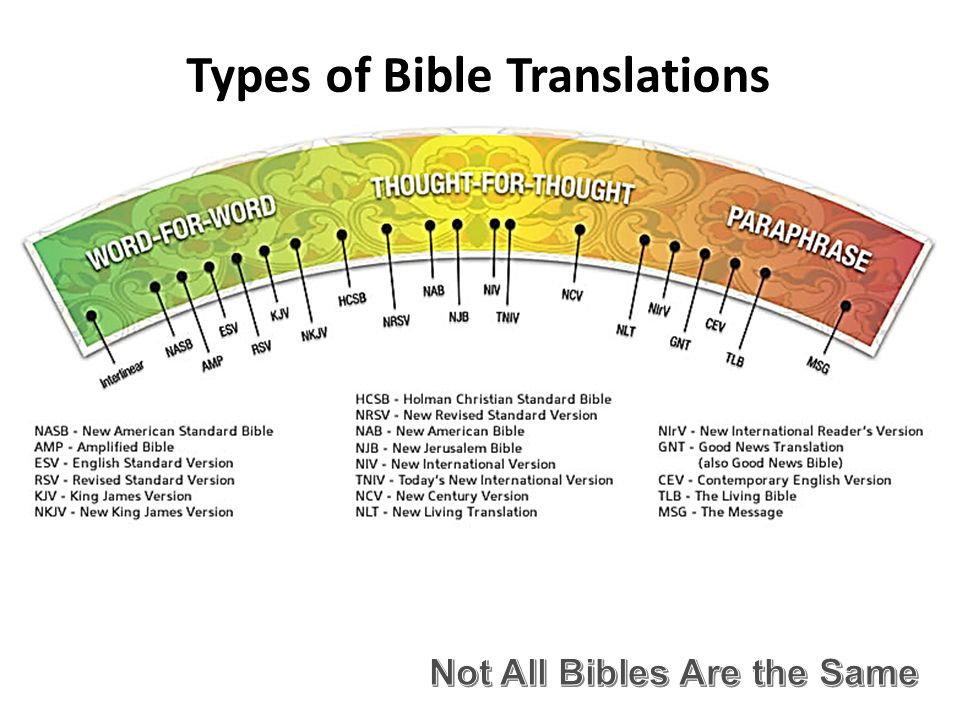 Primer Overview Two Year Bible